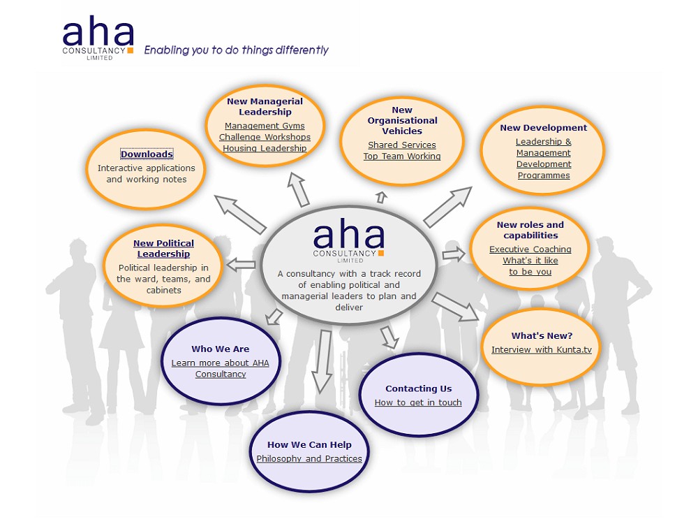 AHA Consultancy - Management consultancy